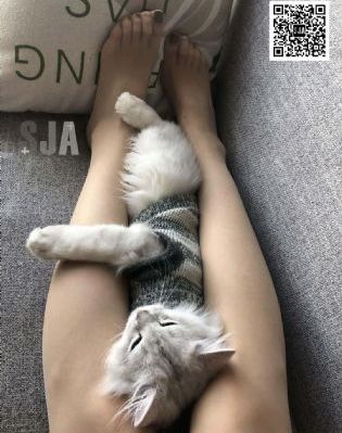 上课被男生摁揉下面出水-神马电影免费观看字幕